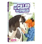 Le cheval du médaillon vignette